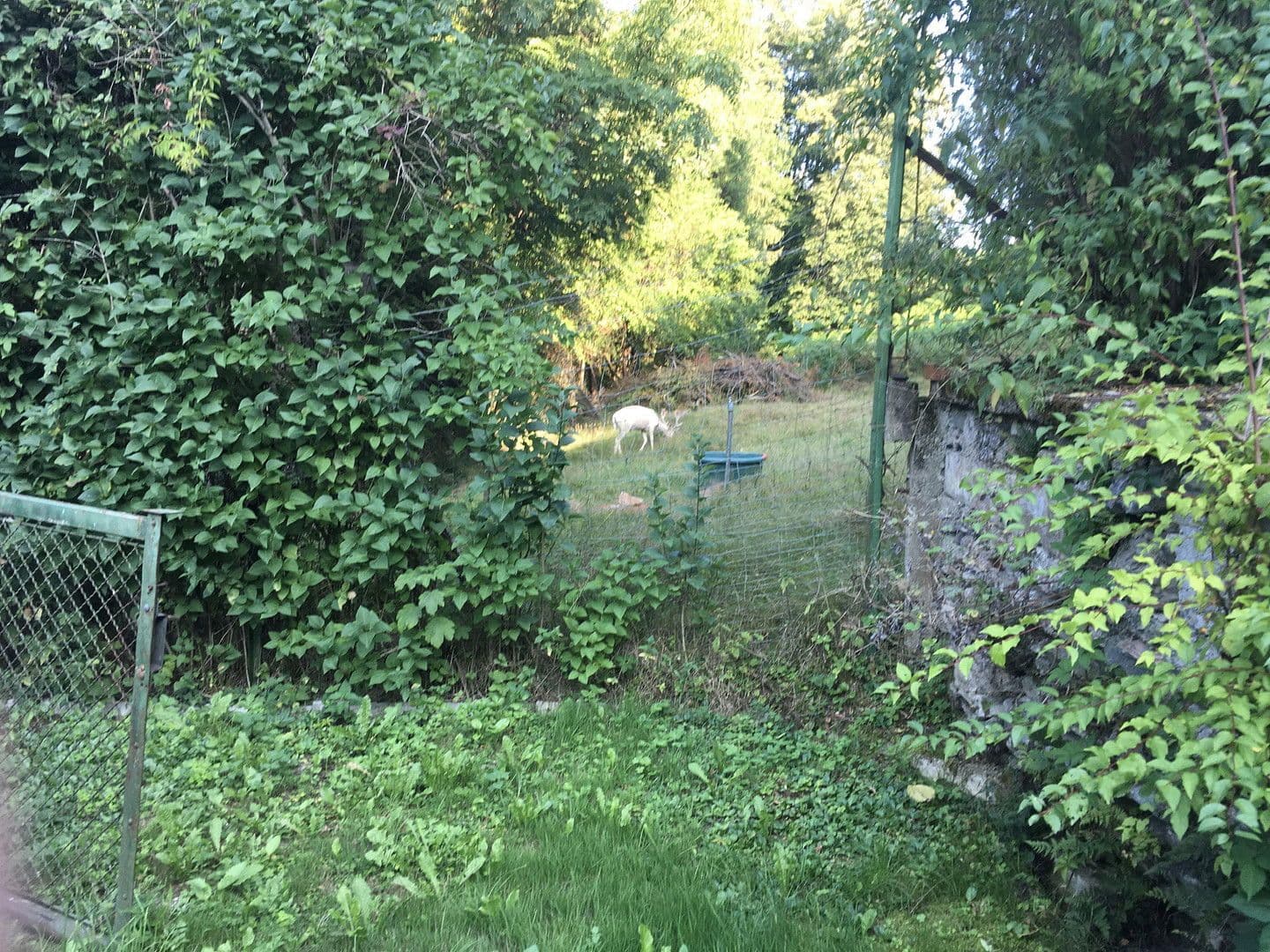 Prodej domu 80 m², pozemek 800 m², Klagenfurt, Korutany Prodej domu 80 m², pozemek 800 m², Klagenfurt, Korutany