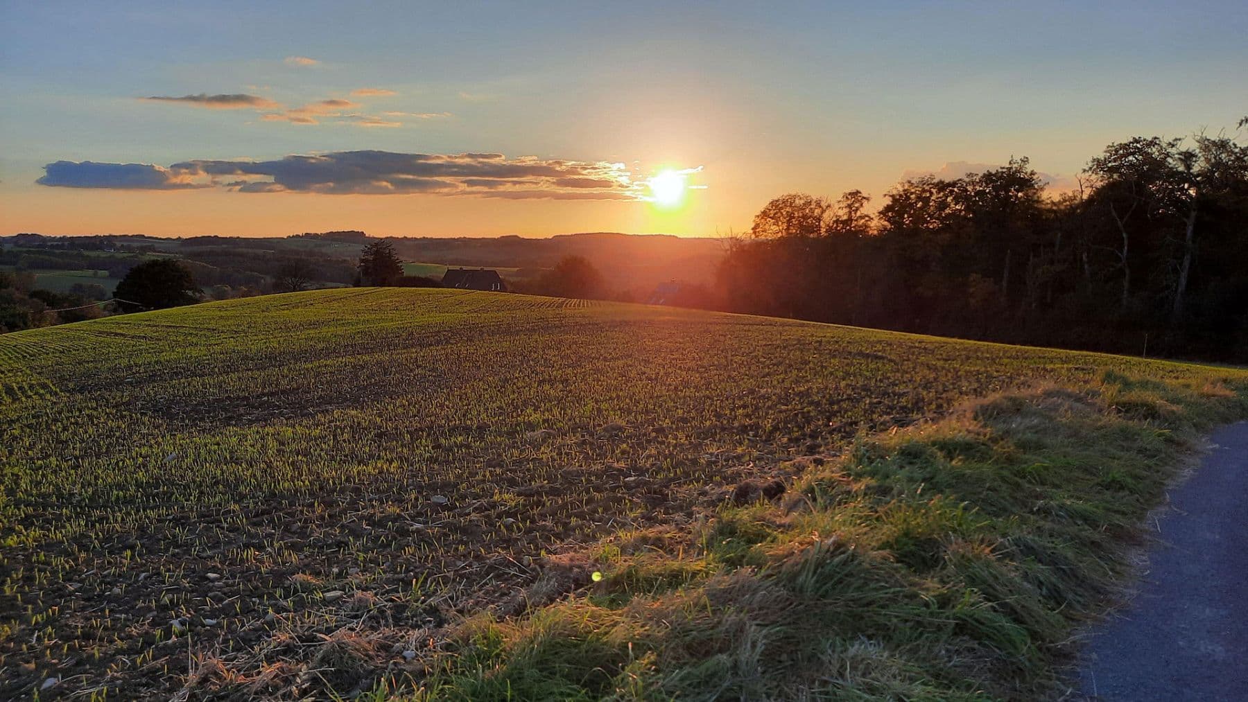 Prodej domu 160 m², pozemek 2.688 m², Am Korstick 46, Essen, Severní Porýní-Vestfálsko Prodej domu 160 m², pozemek 2.688 m², Am Korstick 46, Essen, Severní Porýní-Vestfálsko