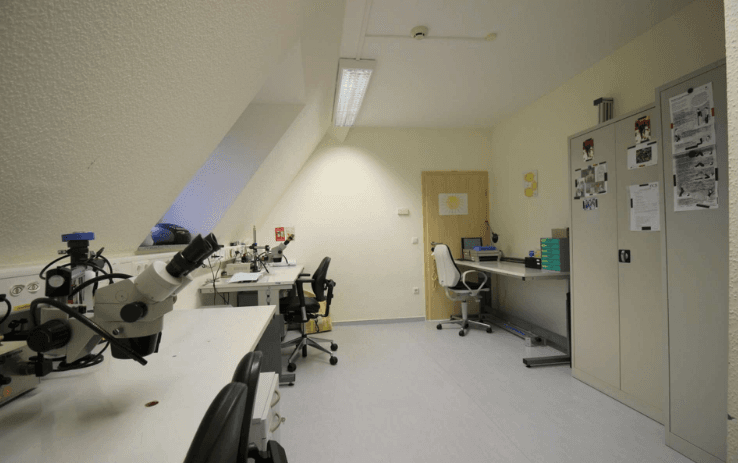 Prodej kanceláře 739 m², Dönseler Straße 4, Dickel, Dolní Sasko Prodej kanceláře 739 m², Dönseler Straße 4, Dickel, Dolní Sasko