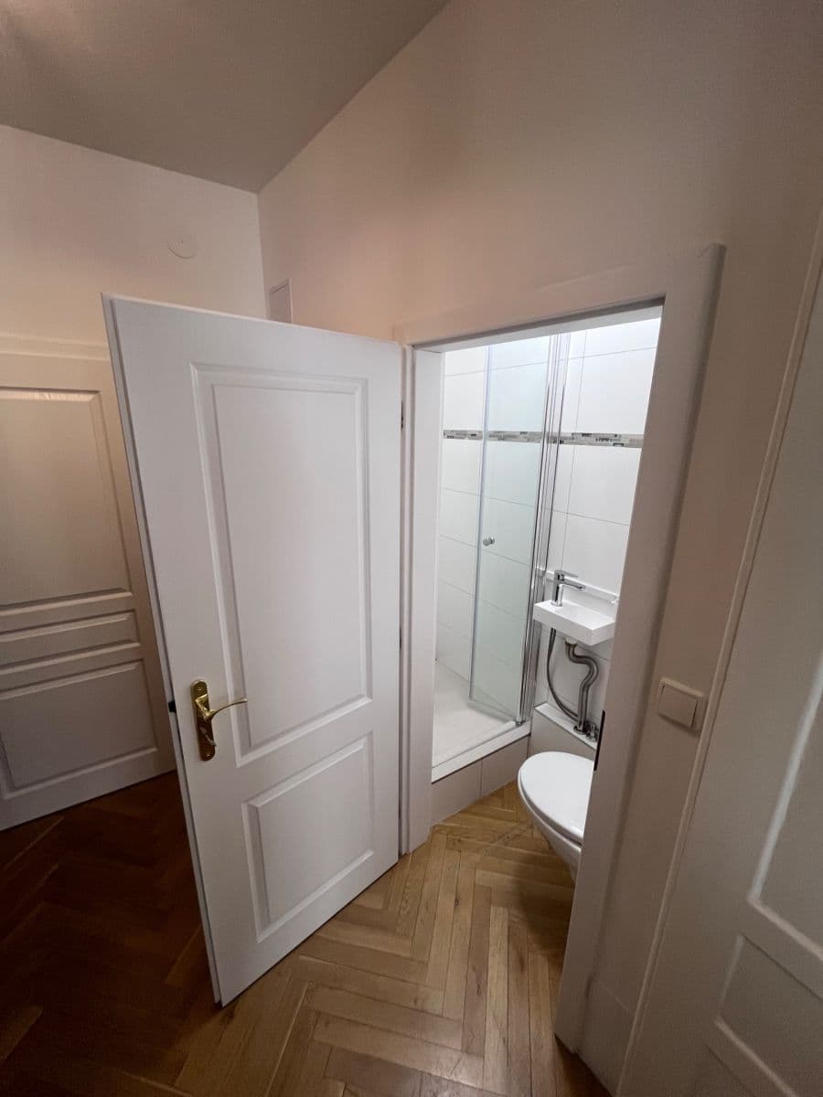 Pronájem bytu 1+kk 41 m², Jakubské náměstí, Brno, Jihomoravský kraj Pronájem bytu 1+kk 41 m², Jakubské náměstí, Brno, Jihomoravský kraj