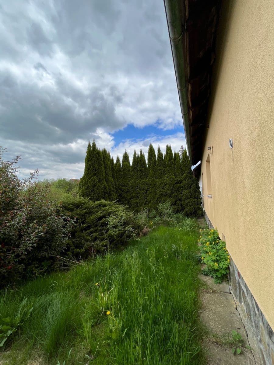 Prodej domu 1.100 m², pozemek 1.400 m², Rooseveltova, Říčany, Středočeský kraj Prodej domu 1.100 m², pozemek 1.400 m², Rooseveltova, Říčany, Středočeský kraj