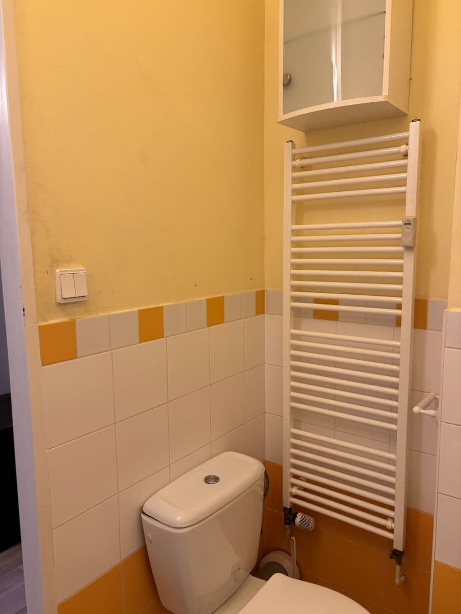 Pronájem bytu 1+kk 32 m², Bieblova, Praha, Praha Pronájem bytu 1+kk 32 m², Bieblova, Praha, Praha
