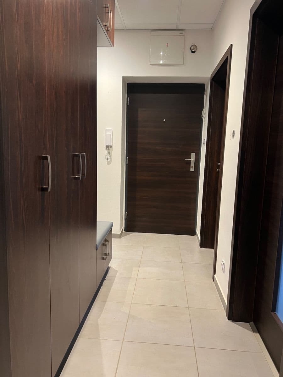 Pronájem bytu 2+1 70 m², Puškinova, Plzeň, Plzeňský kraj Pronájem bytu 2+1 70 m², Puškinova, Plzeň, Plzeňský kraj