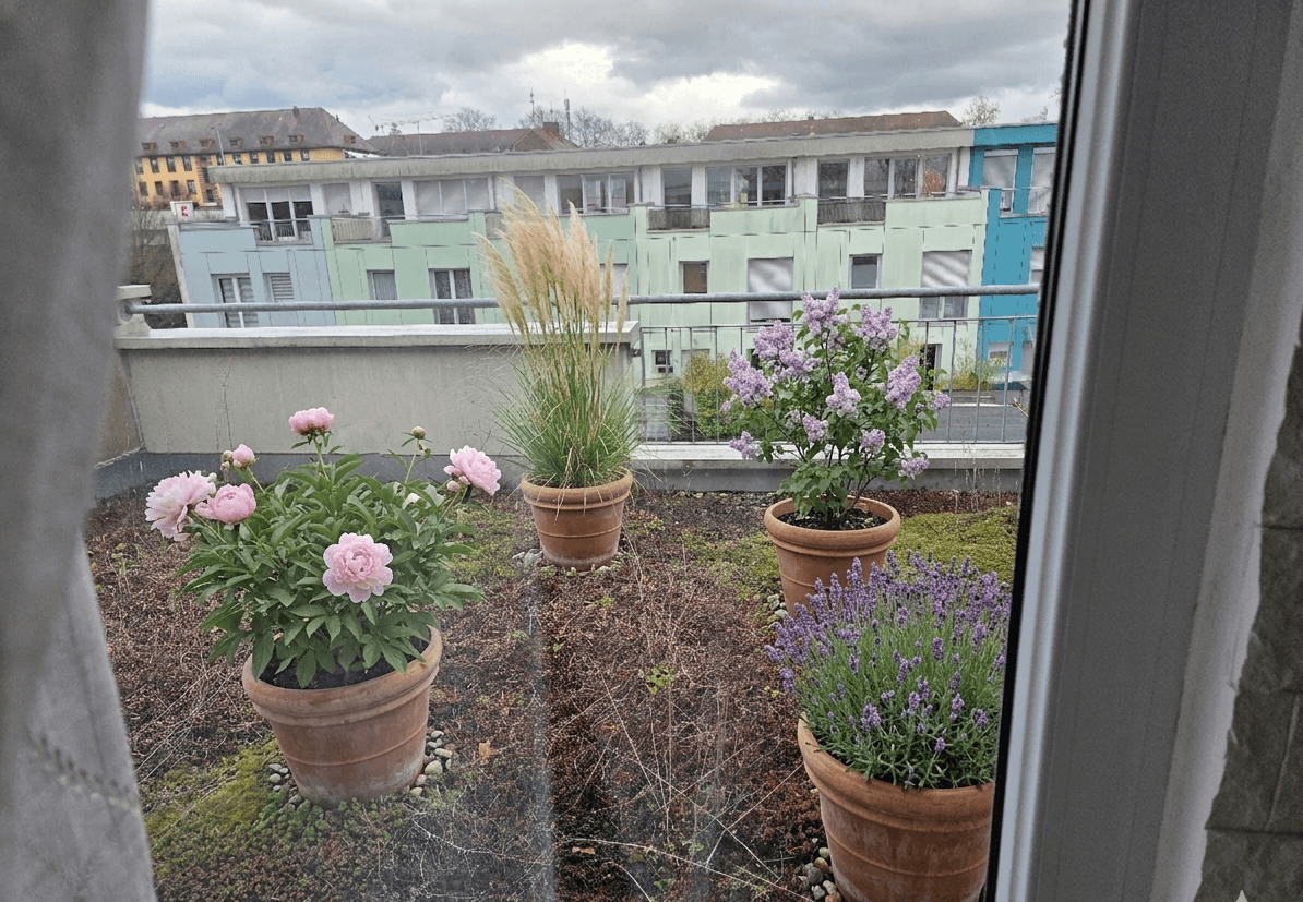 Prodej domu 175 m², pozemek 52 m², Aschaffenburg, Bavorsko Prodej domu 175 m², pozemek 52 m², Aschaffenburg, Bavorsko