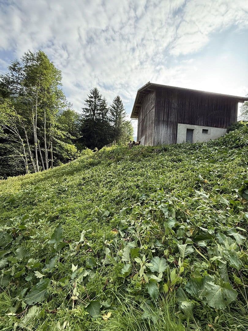 Prodej pozemku 20.708 m², Schruns, Vorarlbersko Prodej pozemku 20.708 m², Schruns, Vorarlbersko