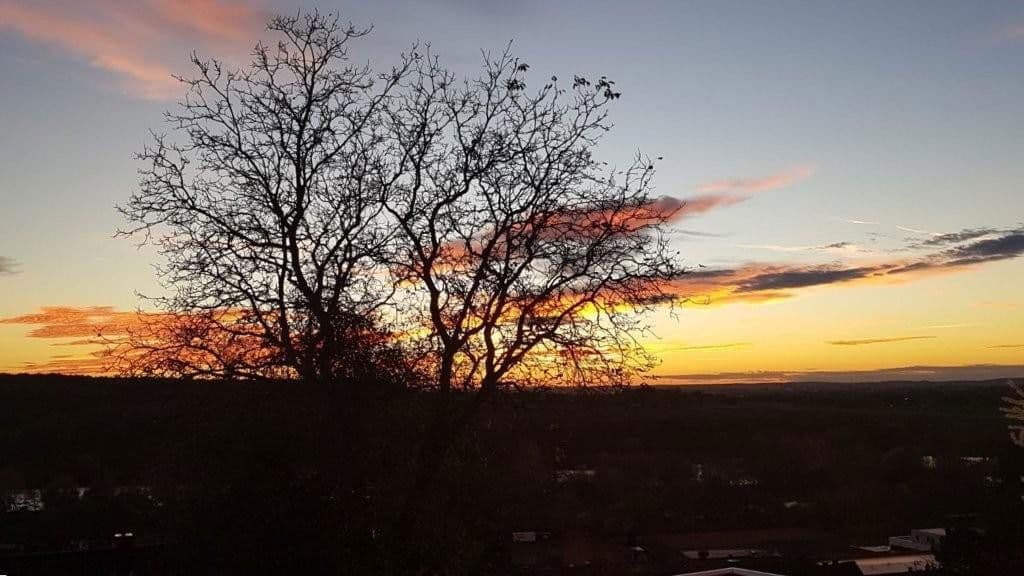 Prodej domu 228 m², pozemek 1.457 m², Schonungen, Bavorsko Prodej domu 228 m², pozemek 1.457 m², Schonungen, Bavorsko