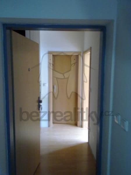 Pronájem bytu 1+kk 34 m², Purkyňova, Brno, Jihomoravský kraj Pronájem bytu 1+kk 34 m², Purkyňova, Brno, Jihomoravský kraj