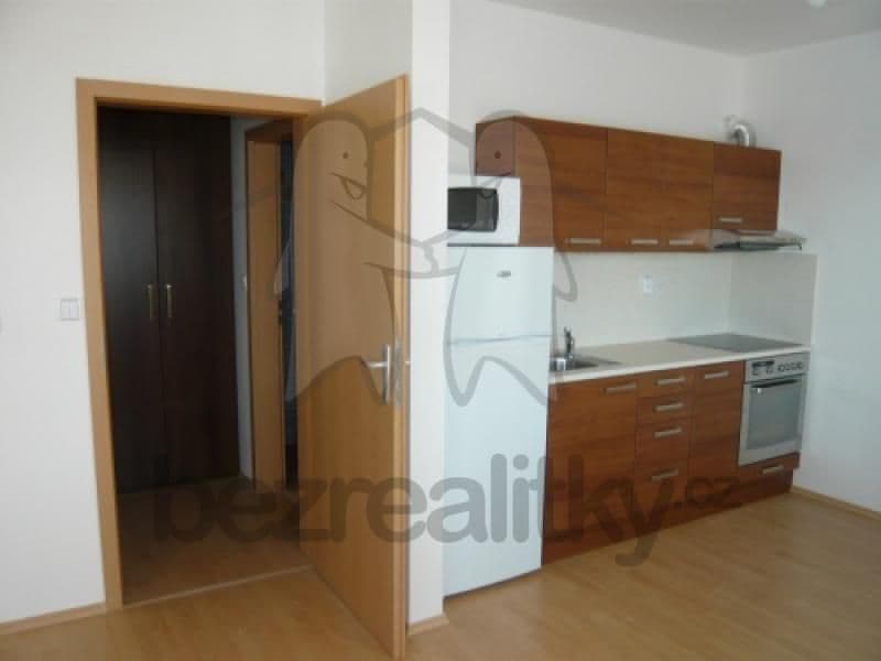 Pronájem bytu 1+kk 34 m², Purkyňova, Brno, Jihomoravský kraj Pronájem bytu 1+kk 34 m², Purkyňova, Brno, Jihomoravský kraj