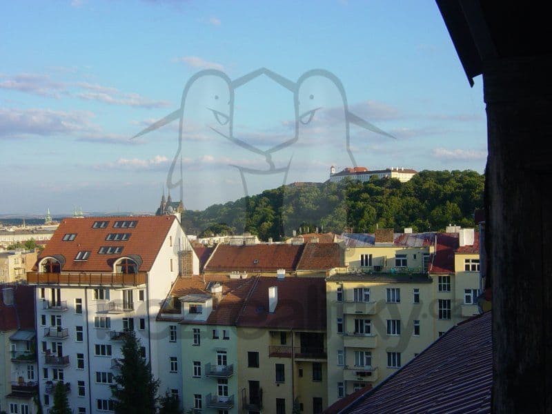 Pronájem bytu 3+kk 127 m², Čápkova, Brno, Jihomoravský kraj Pronájem bytu 3+kk 127 m², Čápkova, Brno, Jihomoravský kraj