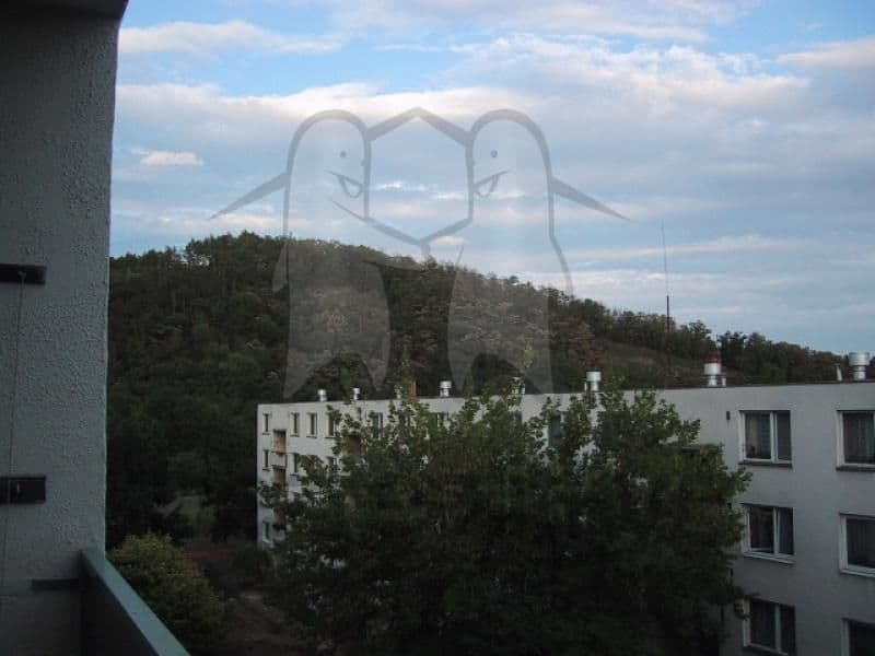 Pronájem bytu 2+1 56 m², Řezáčova, Brno, Jihomoravský kraj Pronájem bytu 2+1 56 m², Řezáčova, Brno, Jihomoravský kraj