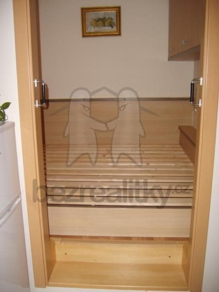 Pronájem bytu 1+kk 35 m², Vlachova, Praha, Praha Pronájem bytu 1+kk 35 m², Vlachova, Praha, Praha