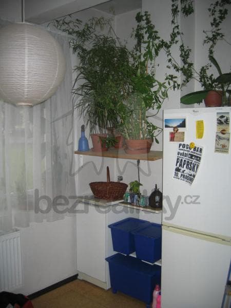 Pronájem bytu 1+1 40 m², Kovácká, Brno, Jihomoravský kraj Pronájem bytu 1+1 40 m², Kovácká, Brno, Jihomoravský kraj