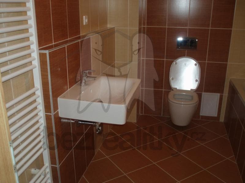 Pronájem bytu 1+kk 45 m², Chýně, Středočeský kraj Pronájem bytu 1+kk 45 m², Chýně, Středočeský kraj