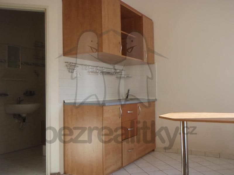 Pronájem bytu 1+kk 30 m², Staniční, Plzeň, Plzeňský kraj Pronájem bytu 1+kk 30 m², Staniční, Plzeň, Plzeňský kraj