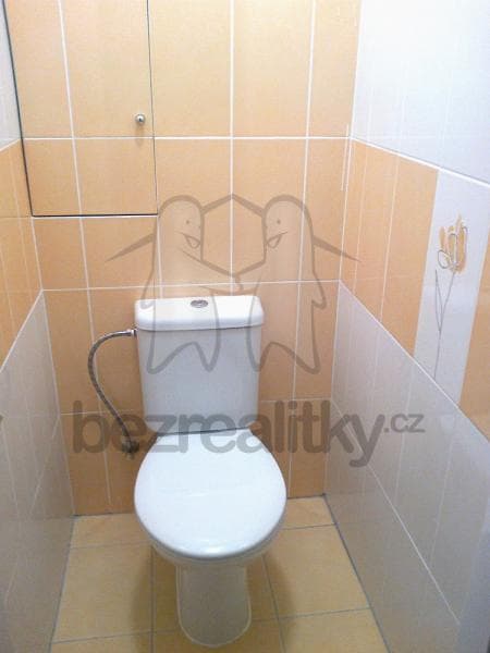 Pronájem bytu 2+1 60 m², Foerstrova, Brno, Jihomoravský kraj Pronájem bytu 2+1 60 m², Foerstrova, Brno, Jihomoravský kraj