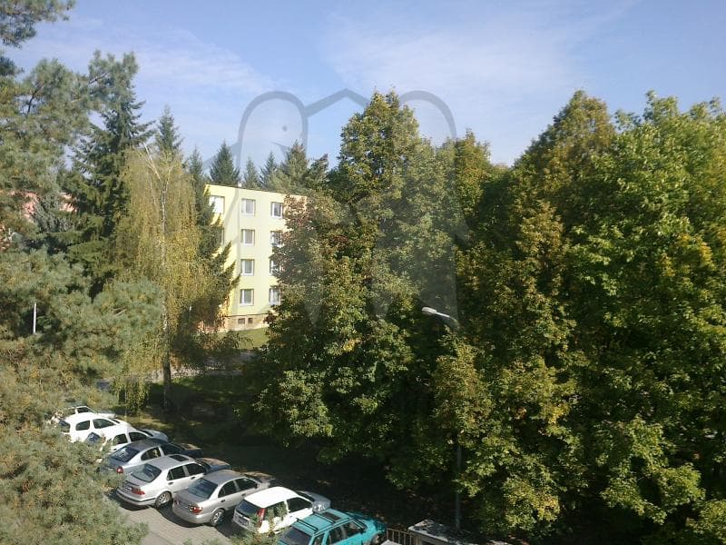 Pronájem bytu 2+1 60 m², Foerstrova, Brno, Jihomoravský kraj Pronájem bytu 2+1 60 m², Foerstrova, Brno, Jihomoravský kraj
