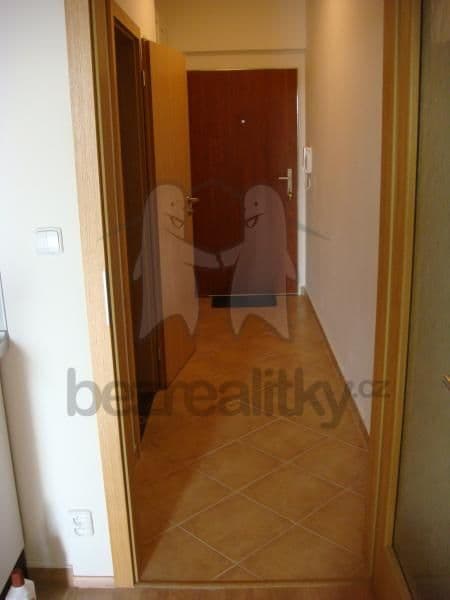 Pronájem bytu 1+kk 30 m², Sazovicka, Praha, Praha Pronájem bytu 1+kk 30 m², Sazovicka, Praha, Praha