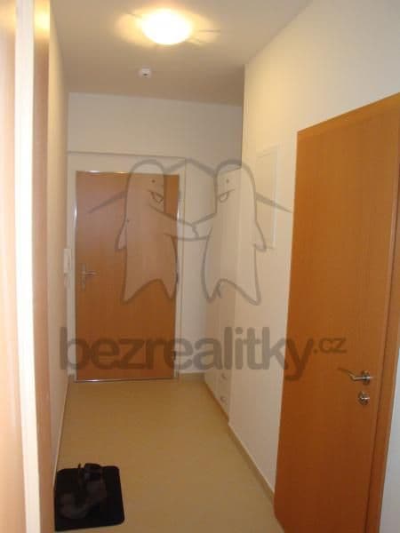 Pronájem bytu 1+kk 30 m², Prušánecká, Praha, Praha Pronájem bytu 1+kk 30 m², Prušánecká, Praha, Praha