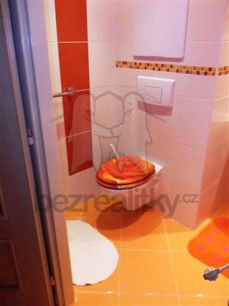 Pronájem bytu 1+1 27 m², Mongolská, Ostrava, Moravskoslezský kraj Pronájem bytu 1+1 27 m², Mongolská, Ostrava, Moravskoslezský kraj