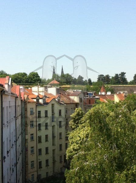 Pronájem bytu 2+1 60 m², Čiklova, Praha, Praha Pronájem bytu 2+1 60 m², Čiklova, Praha, Praha