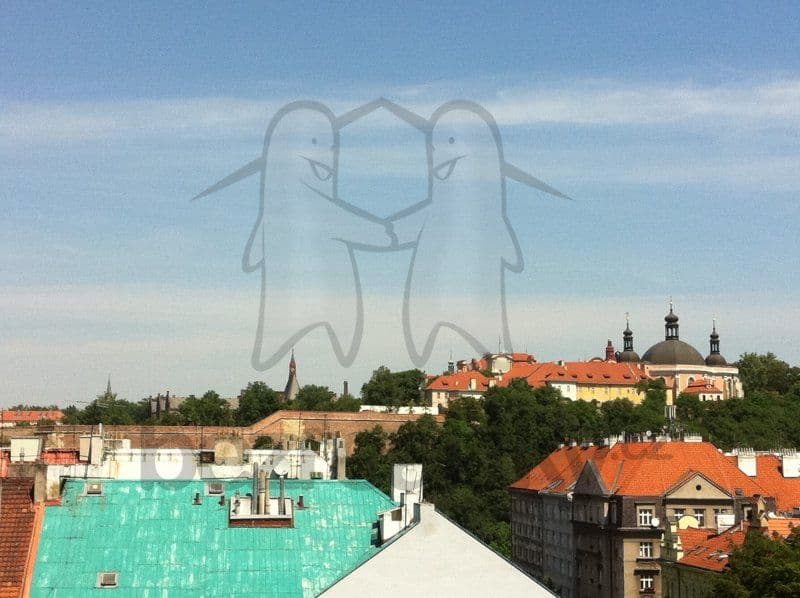 Pronájem bytu 2+1 60 m², Čiklova, Praha, Praha Pronájem bytu 2+1 60 m², Čiklova, Praha, Praha