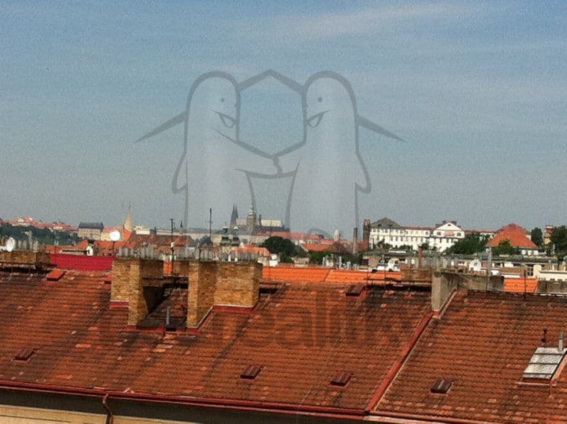 Pronájem bytu 2+1 60 m², Čiklova, Praha, Praha Pronájem bytu 2+1 60 m², Čiklova, Praha, Praha