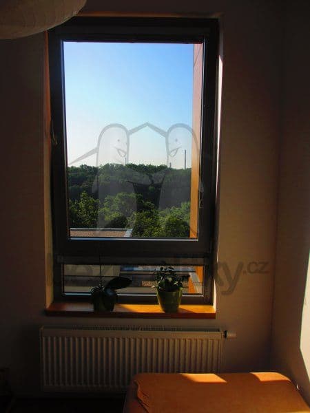Pronájem bytu 1+kk 26 m², Mezitraťová, Praha, Praha Pronájem bytu 1+kk 26 m², Mezitraťová, Praha, Praha