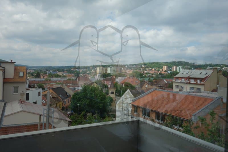 Pronájem bytu Garsoniéra 35 m², Šeránkova, Brno, Jihomoravský kraj Pronájem bytu Garsoniéra 35 m², Šeránkova, Brno, Jihomoravský kraj