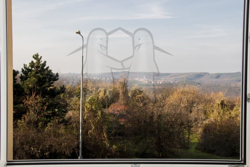 Pronájem bytu 1+kk 31 m², Vítězné náměstí, Praha, Praha Pronájem bytu 1+kk 31 m², Vítězné náměstí, Praha, Praha
