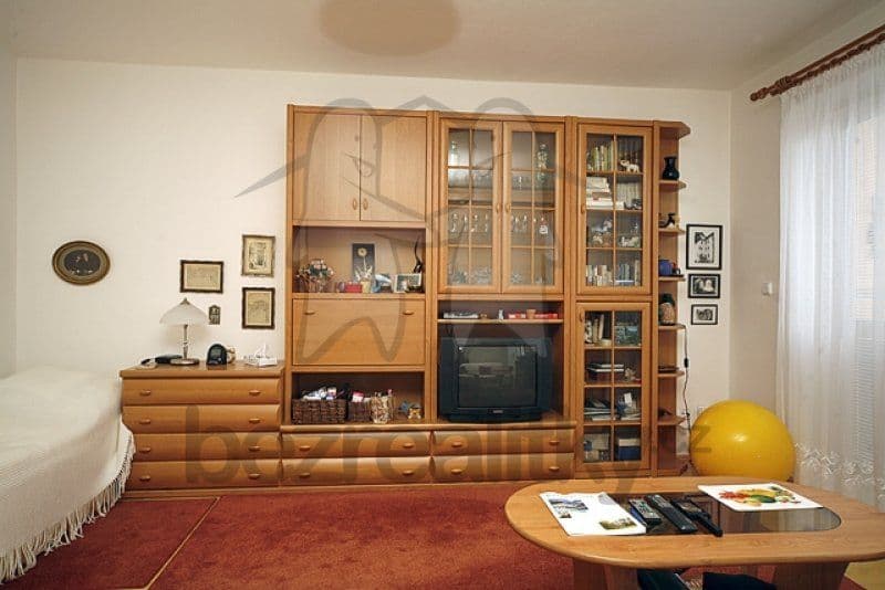 Pronájem bytu 1+kk 48 m², Netlucká, Praha, Praha Pronájem bytu 1+kk 48 m², Netlucká, Praha, Praha