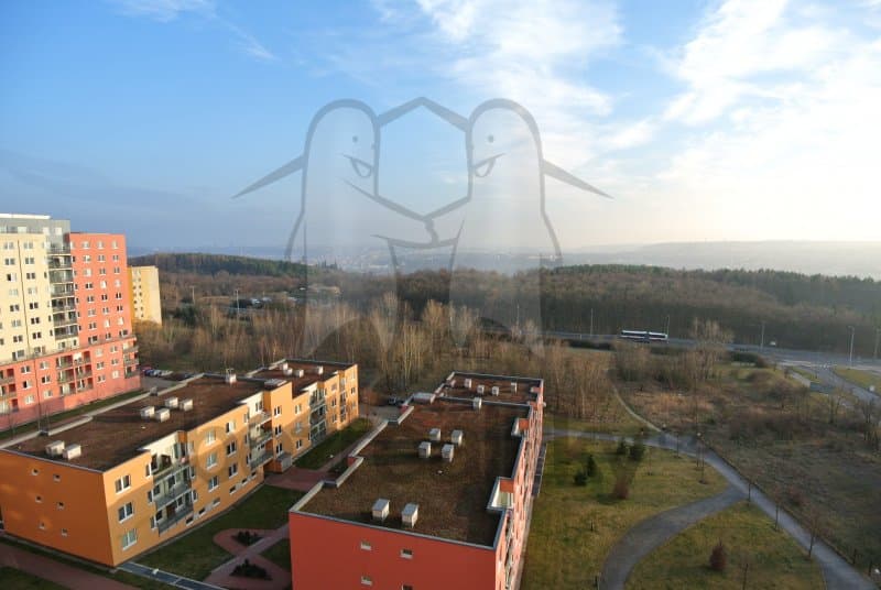 Pronájem bytu 2+kk 50 m², Hnězdenská, Praha, Praha Pronájem bytu 2+kk 50 m², Hnězdenská, Praha, Praha