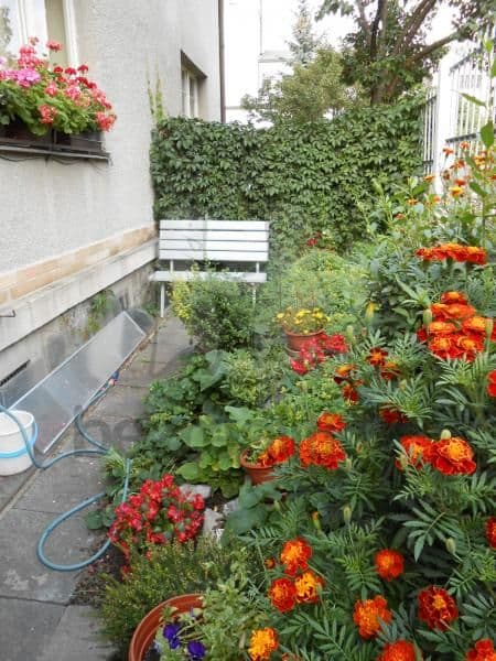 Pronájem bytu 2+kk 40 m², Roztylské sady, Praha, Praha Pronájem bytu 2+kk 40 m², Roztylské sady, Praha, Praha