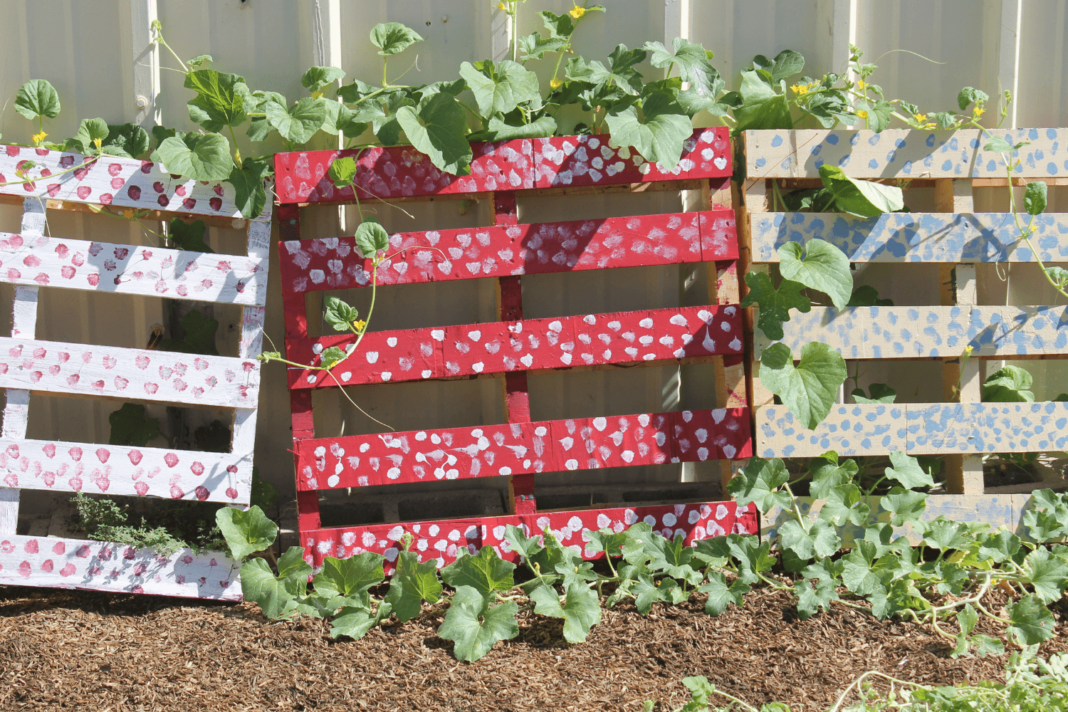 Zahradní inspirace: 5 DIY projektů pro zkrášlení vaší zahrady
