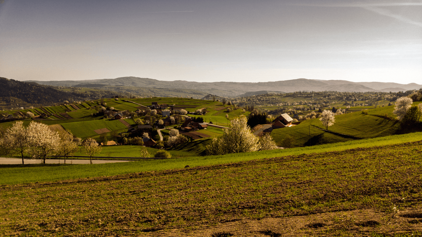 Územní rozhodnutí je výsledkem územního řízení.