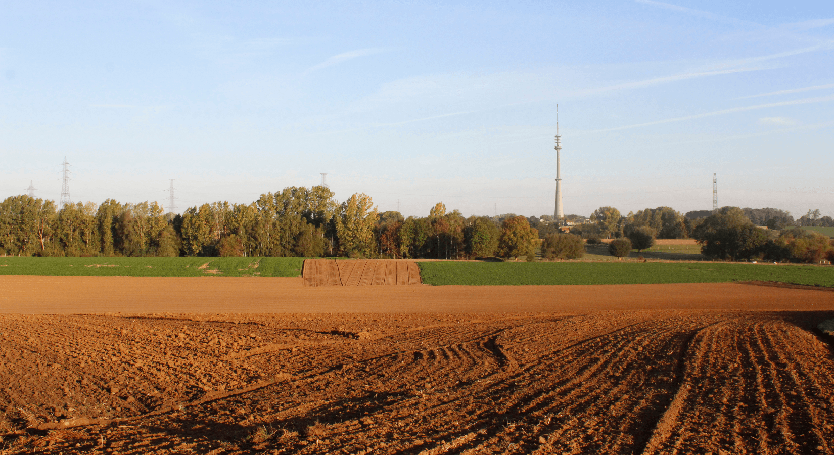 Jak udělat ze zahrady nebo pole stavební parcelu