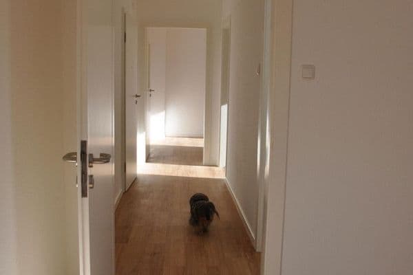 Pronájem bytu 2+1 41 m², Essen Pronájem bytu 2+1 41 m², Essen