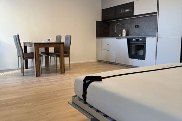 Pronájem bytu 1+kk 39 m², Auerswaldova, Brno Pronájem bytu 1+kk 39 m², Auerswaldova, Brno