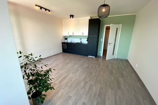 Pronájem bytu 1+kk 41 m², Olgy Havlové, Praha Pronájem bytu 1+kk 41 m², Olgy Havlové, Praha