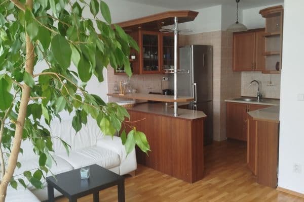 Pronájem bytu 3+kk 63 m², U Měšťanského pivovaru, Praha Pronájem bytu 3+kk 63 m², U Měšťanského pivovaru, Praha