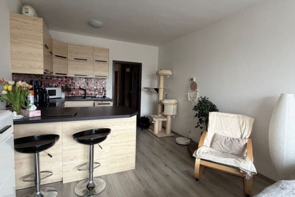 Pronájem bytu 1+kk 35 m², Jana Masaryka, Hradec Králové Pronájem bytu 1+kk 35 m², Jana Masaryka, Hradec Králové