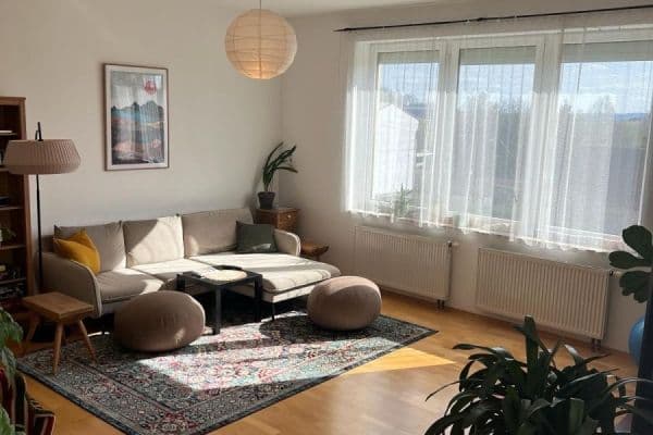 Pronájem domu Pronájem domu