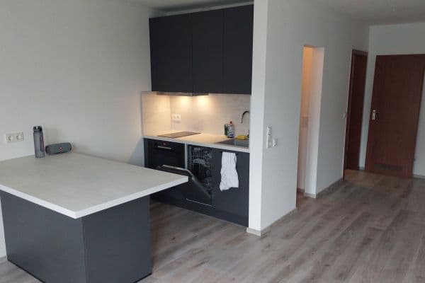 Pronájem bytu 1+1 30 m², Asterweg 3, Gießen, Hessen Pronájem bytu 1+1 30 m², Asterweg 3, Gießen, Hessen