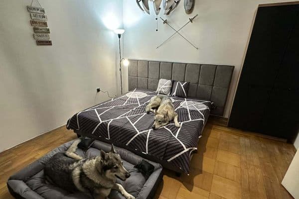 Pronájem chaty, chalupy, Trstěnice Pronájem chaty, chalupy, Trstěnice