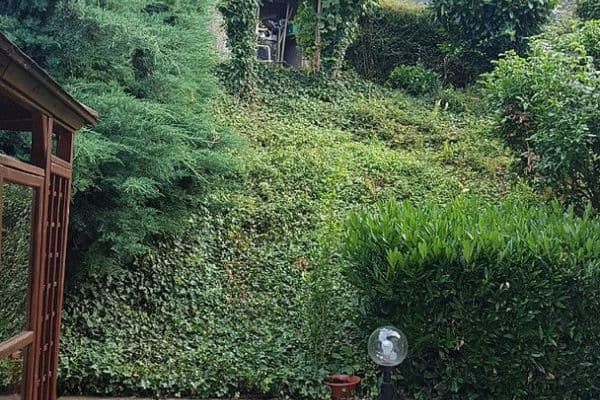 Pronájem bytu 4+1 124 m², Theodor-Frey-Straße 35, Eberbach Pronájem bytu 4+1 124 m², Theodor-Frey-Straße 35, Eberbach