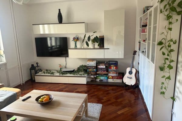 Pronájem bytu 2+1 51 m², Nové Mesto Pronájem bytu 2+1 51 m², Nové Mesto