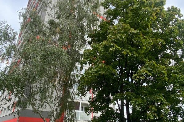 Prodej bytu 3+1 64 m², Výškovická, Ostrava Prodej bytu 3+1 64 m², Výškovická, Ostrava