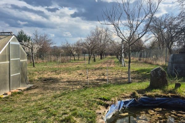 Prodej pozemku 2.950 m², Rohatec Prodej pozemku 2.950 m², Rohatec