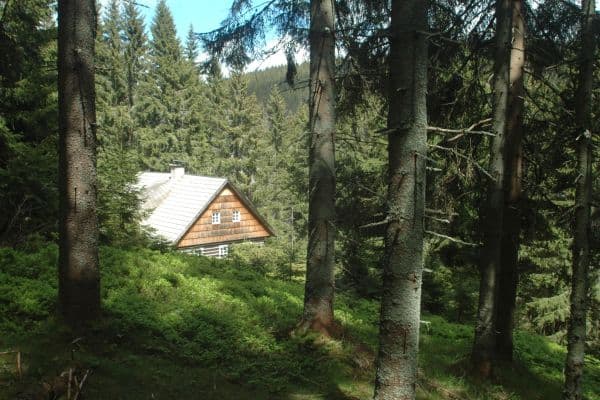 Pronájem chaty, chalupy 100 m², pozemek 100 m², Malá Úpa Pronájem chaty, chalupy 100 m², pozemek 100 m², Malá Úpa