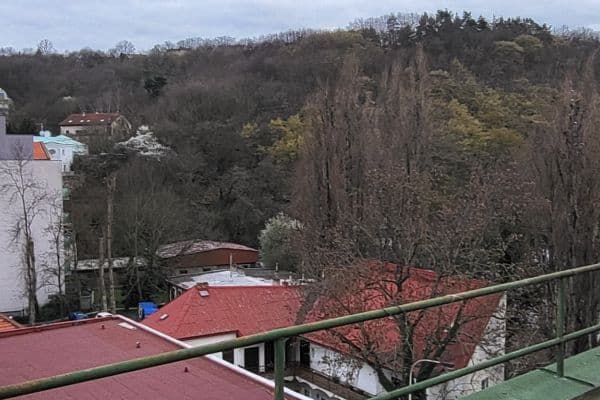 Pronájem bytu 2+1 51 m², Vrchlického, Praha Pronájem bytu 2+1 51 m², Vrchlického, Praha