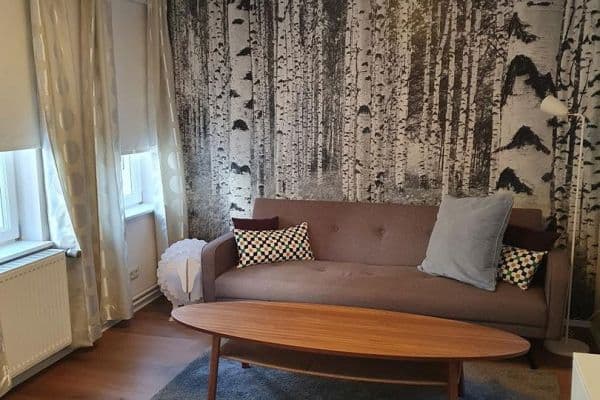 Pronájem bytu 2+1 38 m², Wiesbaden Pronájem bytu 2+1 38 m², Wiesbaden